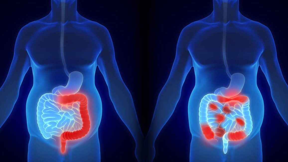 Dr. Jorge Octavio Guzmán