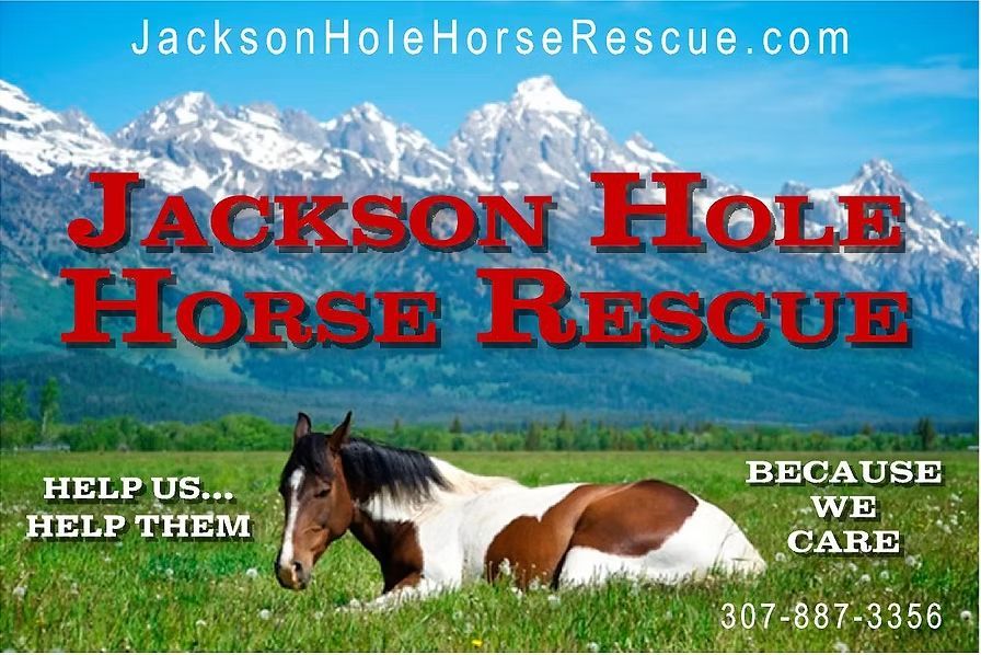 Jackson Hole Horse Rescue banner with horse in a meadow and mountain backdrop, plus website and phone number