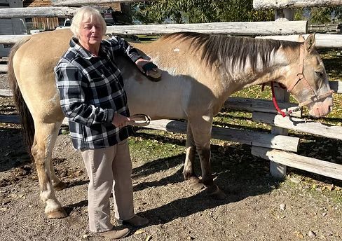 Person standing beside a tan horse by a wooden fence outdoors