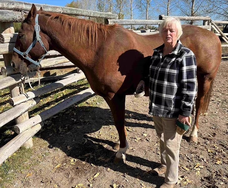 Woman standing beside a brown horse in a fenced outdoor paddock.