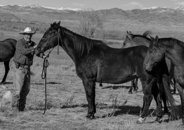 Cowboy holding a horse beside two other horses in a dry open field with mountains in the background