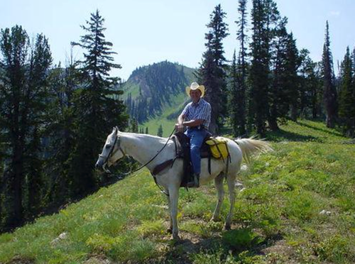 Person on white horse in a grassy mountain meadow with tall pine trees in the background