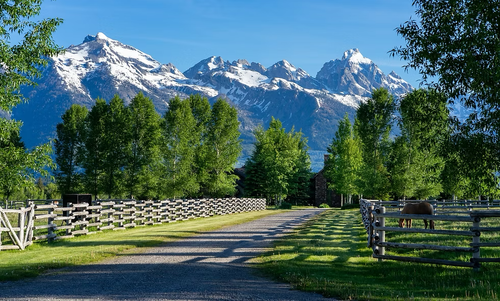 Snowy mountains beyond a sunlit country road with green trees and white fences