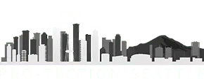 Pro-Tection Seattle