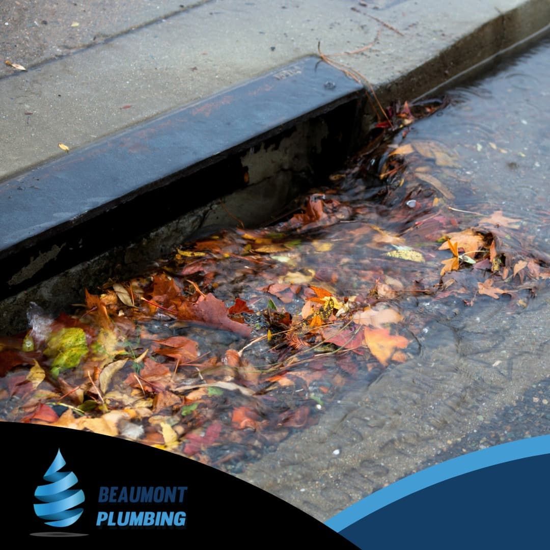 A Drain With Leaves in It — Beaumont Plumbing in Glenfield Park, NSW