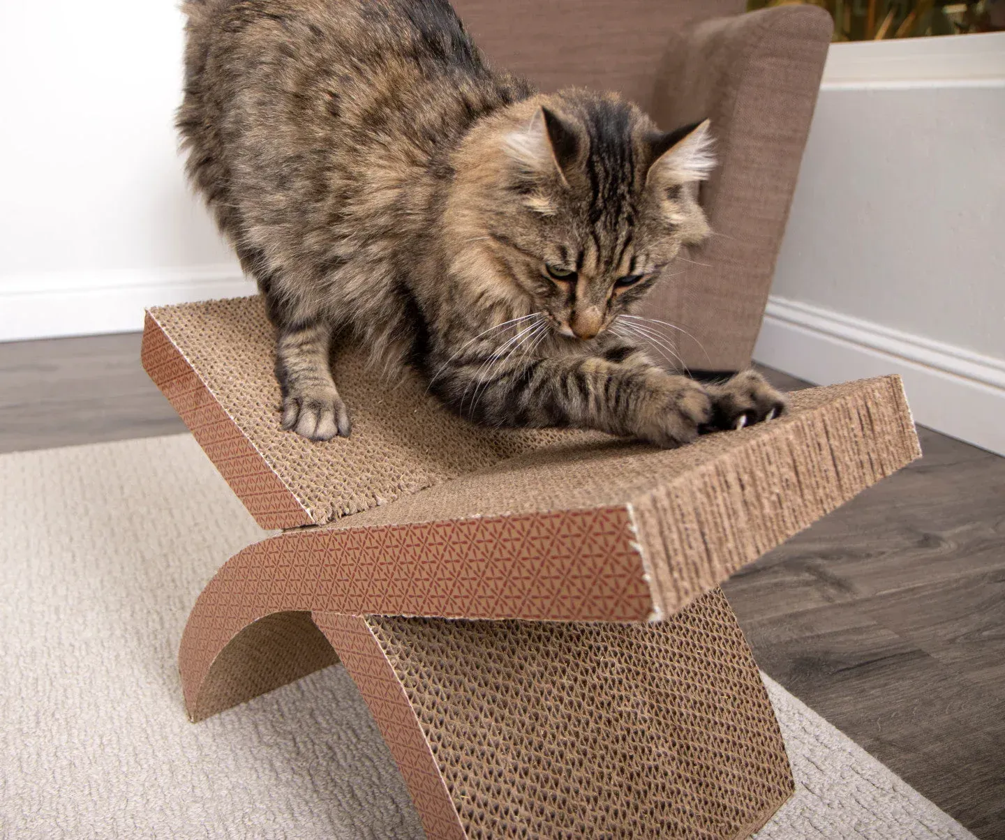 Gato estirándose y rascándose sobre un rascador de cartón marrón con forma de silla.