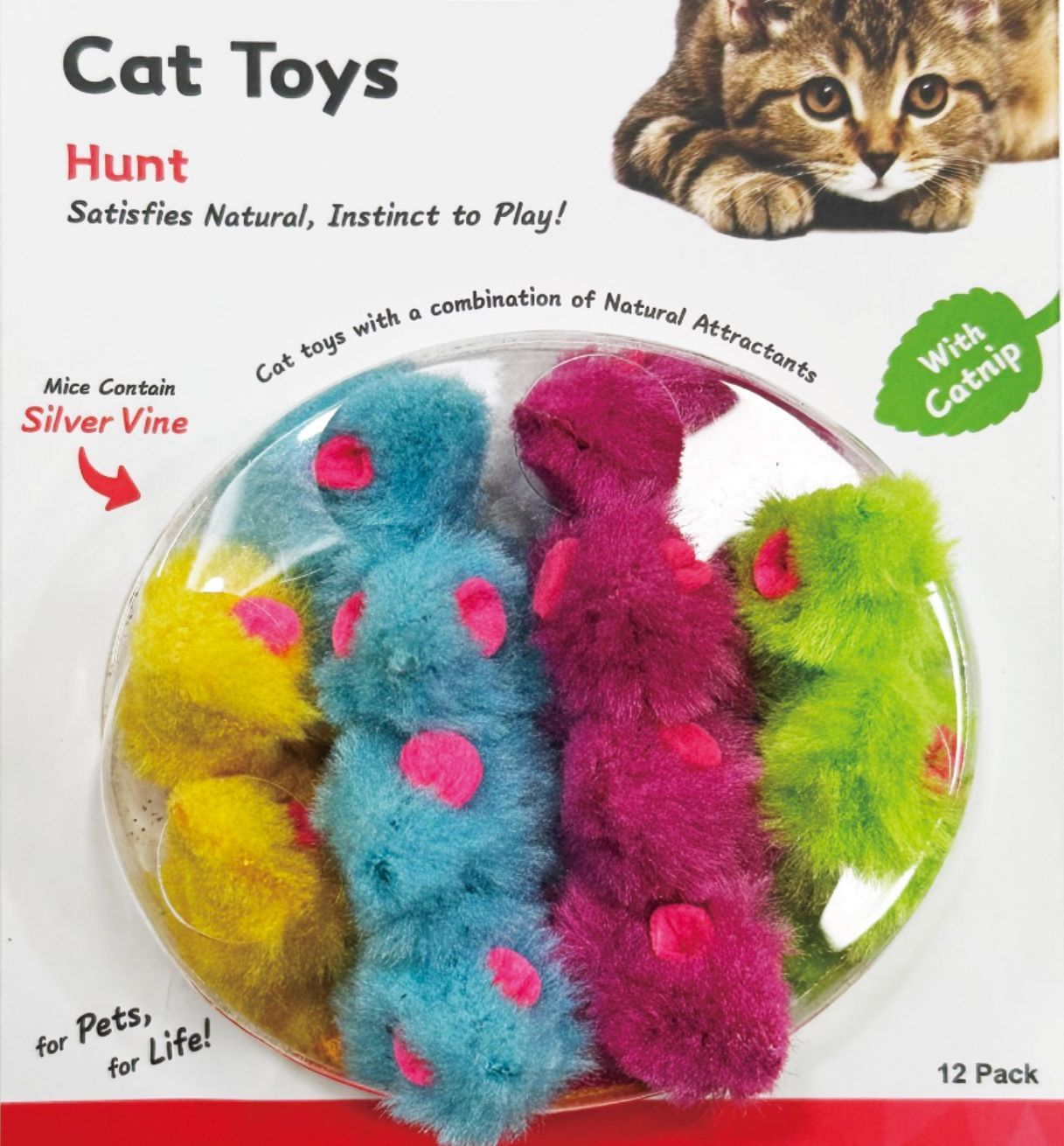 Ratita con Catnip x12u