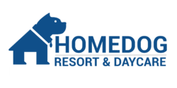 Homedog | Resort & Daycare