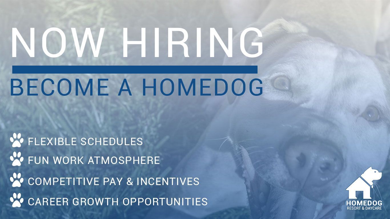 Now Hiring - Become a Homedog - Flexible schedules - Fun work atmosphere - Competitive pay & incentives - Career Growth opportunities