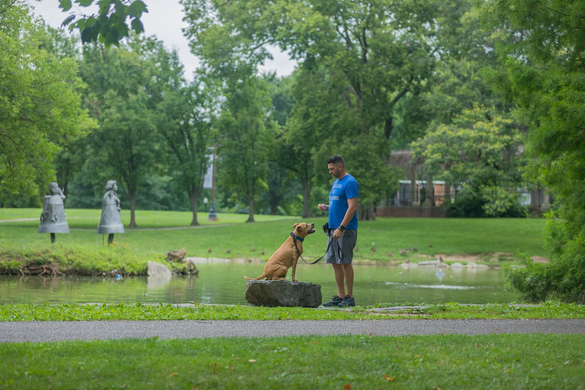 a man is standing next to a dog on a rock in a park .
