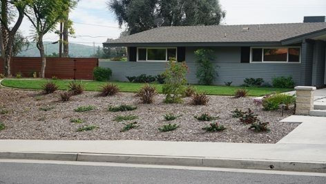 Riverside County commercial landscapers