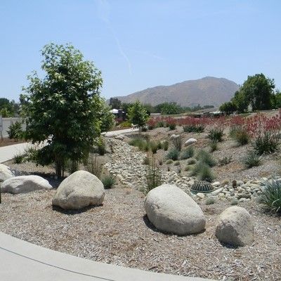 commercial landscape construction company