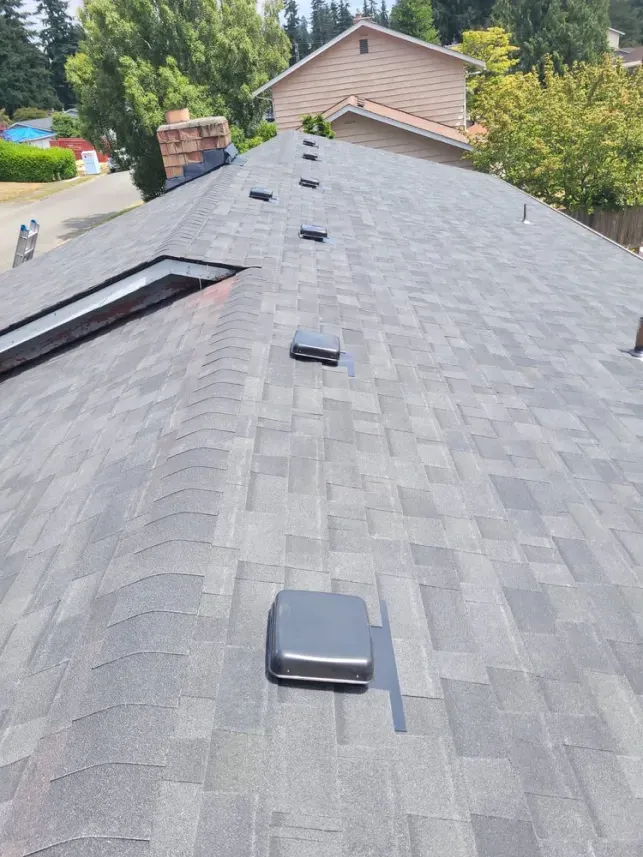 Gray shingle roof with several vents and a skylight; a residential neighborhood in background.