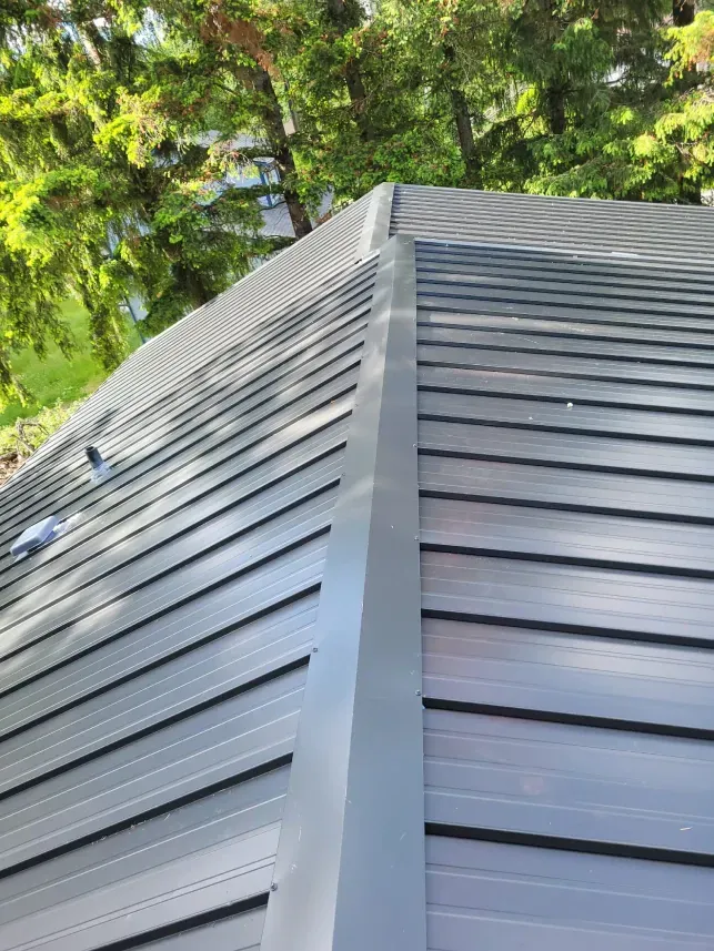 Gray metal roof with a vertical metal seam, set against green trees.