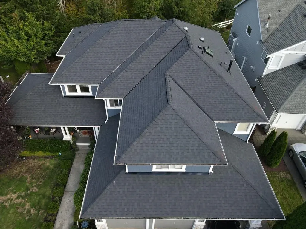Gray roof of a two-story house with blue siding. Green trees and other houses visible.