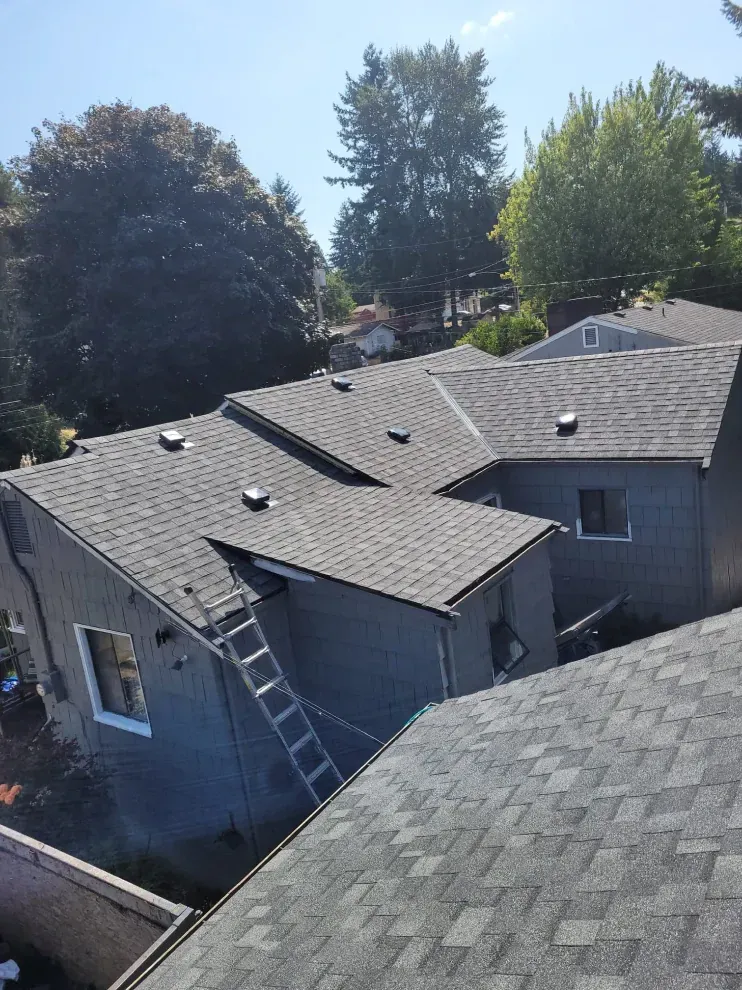 View of a house with a gray shingle roof, a ladder, and surrounding trees on a sunny day.