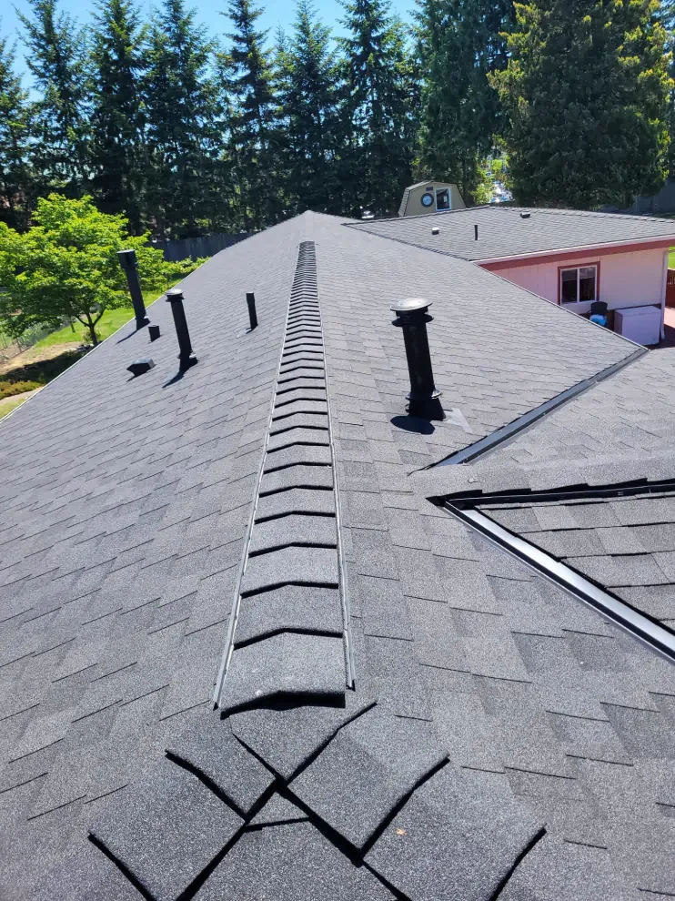 Dark gray shingled roof with a ridge vent and several black pipes, surrounded by trees.