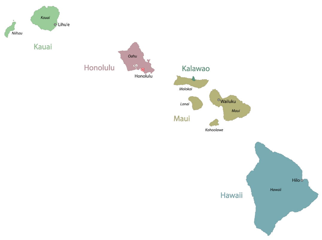 reac services Hawaii