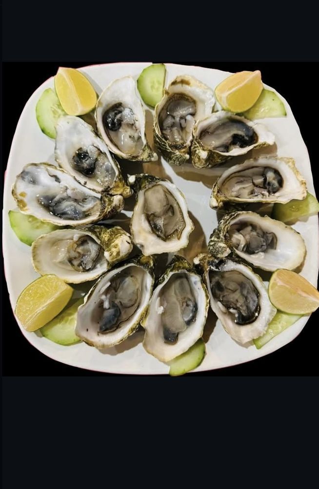 fresh oysters