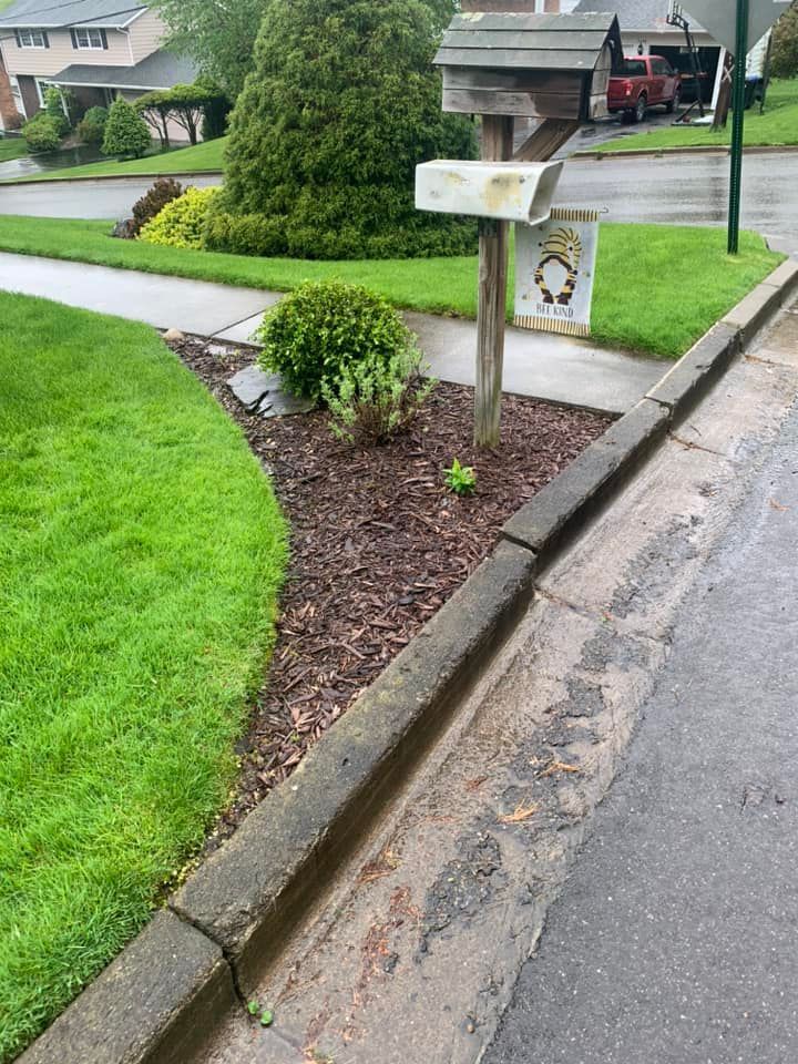 Clean Walkway and Lawn