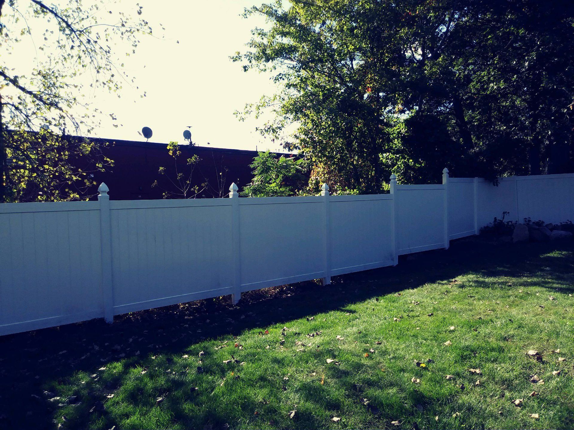 White privacy fence in a grassy yard, trees in the background, daytime.