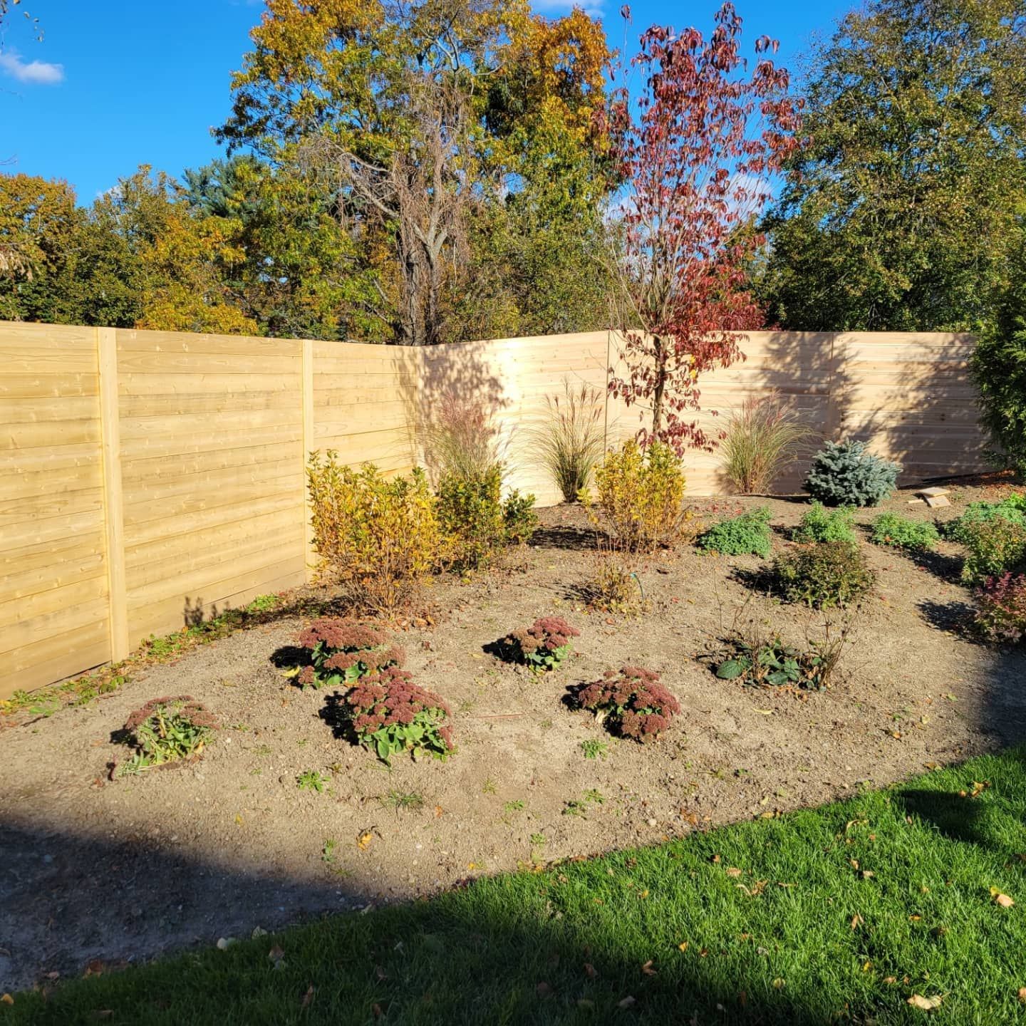 Landscaped garden bed with autumn foliage and tan fence in background.