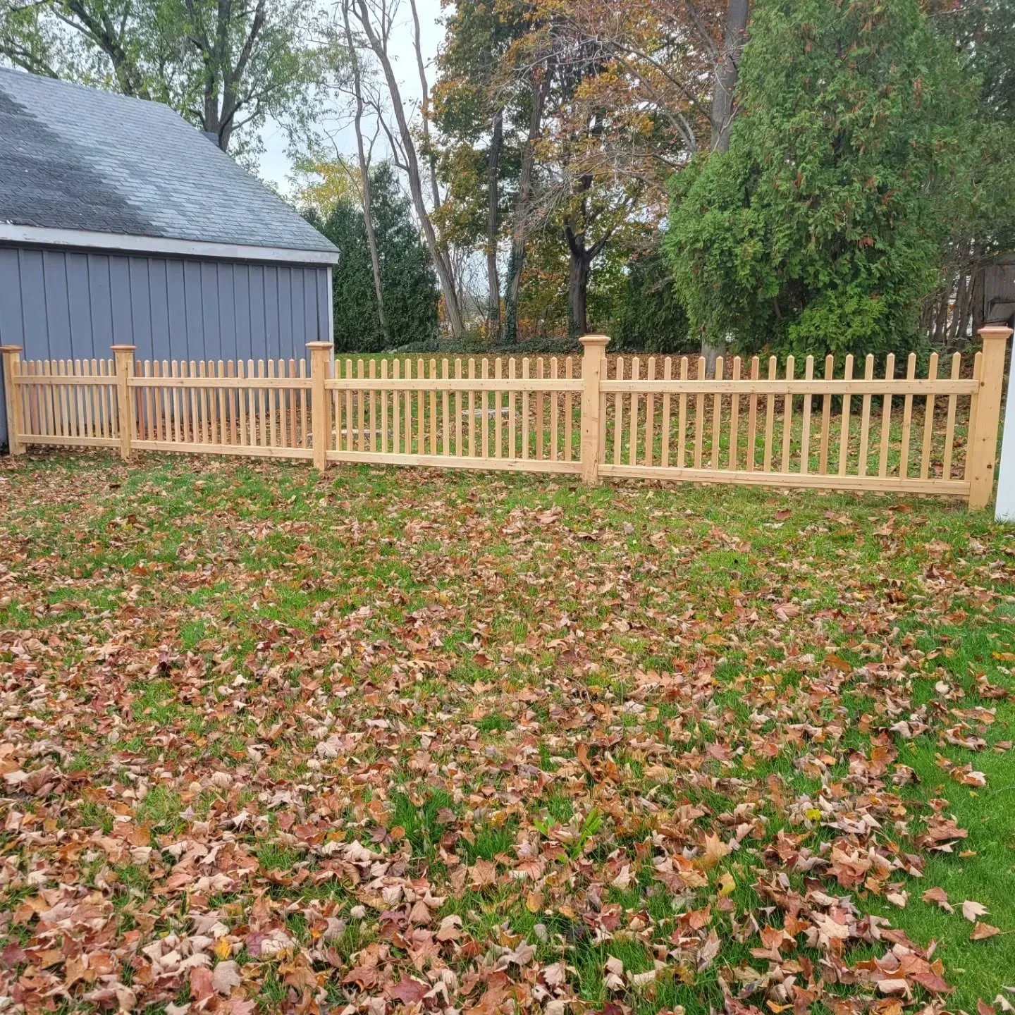 Wooden picket fence in a yard covered in fallen brown leaves, with a gray building and trees in the background.