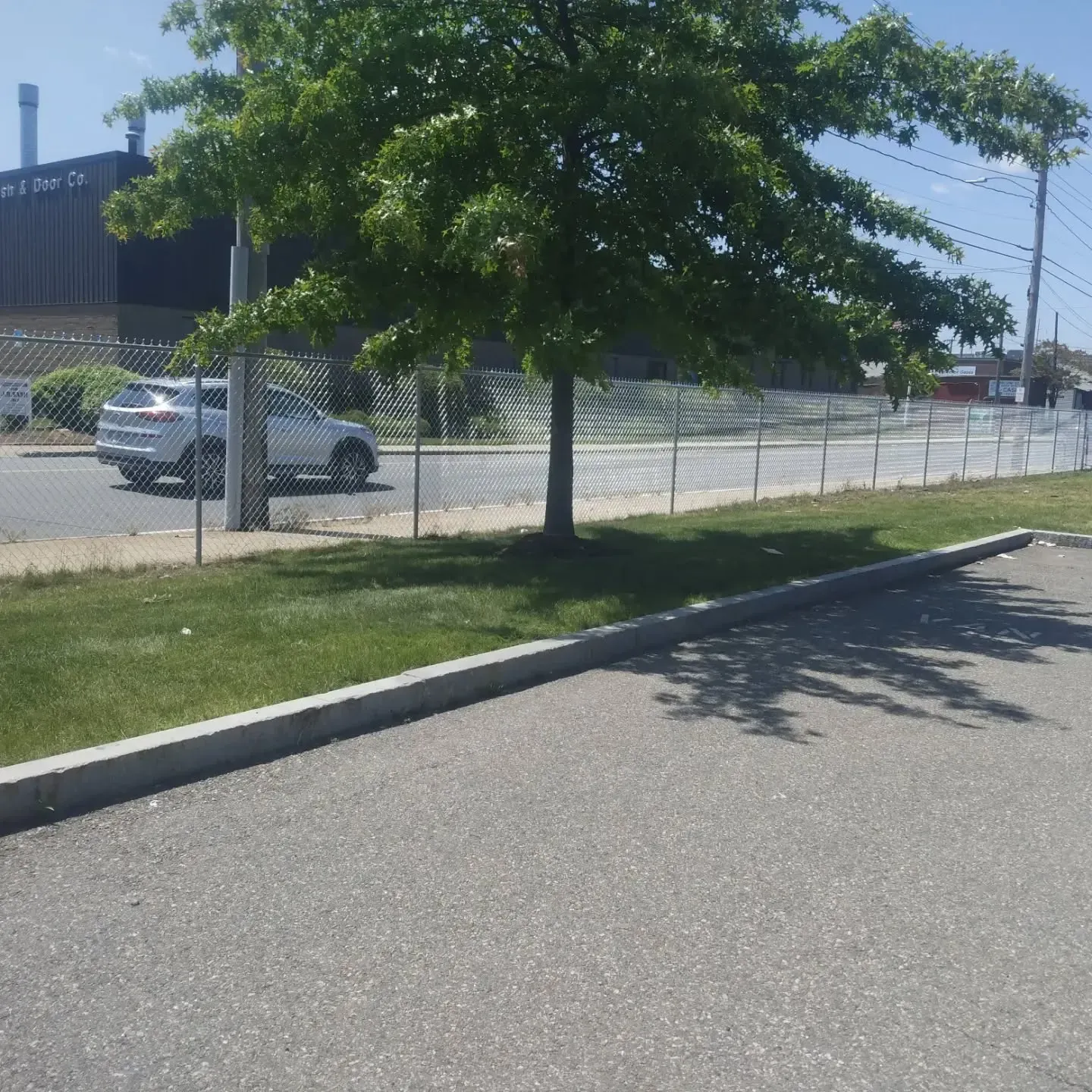 Tree with green leaves, casting shadow on grass and asphalt; a car is visible behind a chain-link fence.