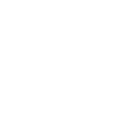 Icona – Autocarrozzeria Sestese