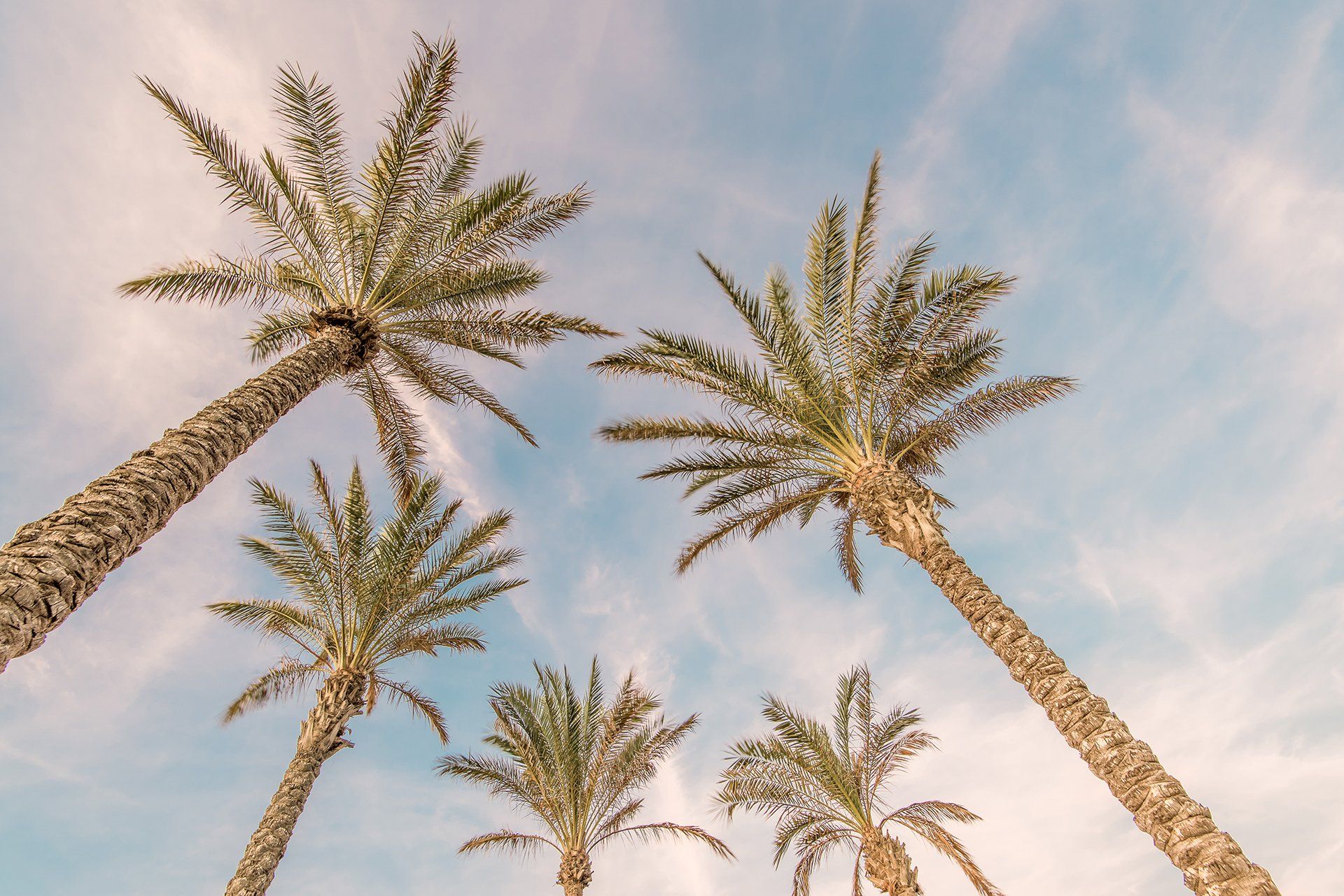 Liu Resorts, Otel Bilgileri