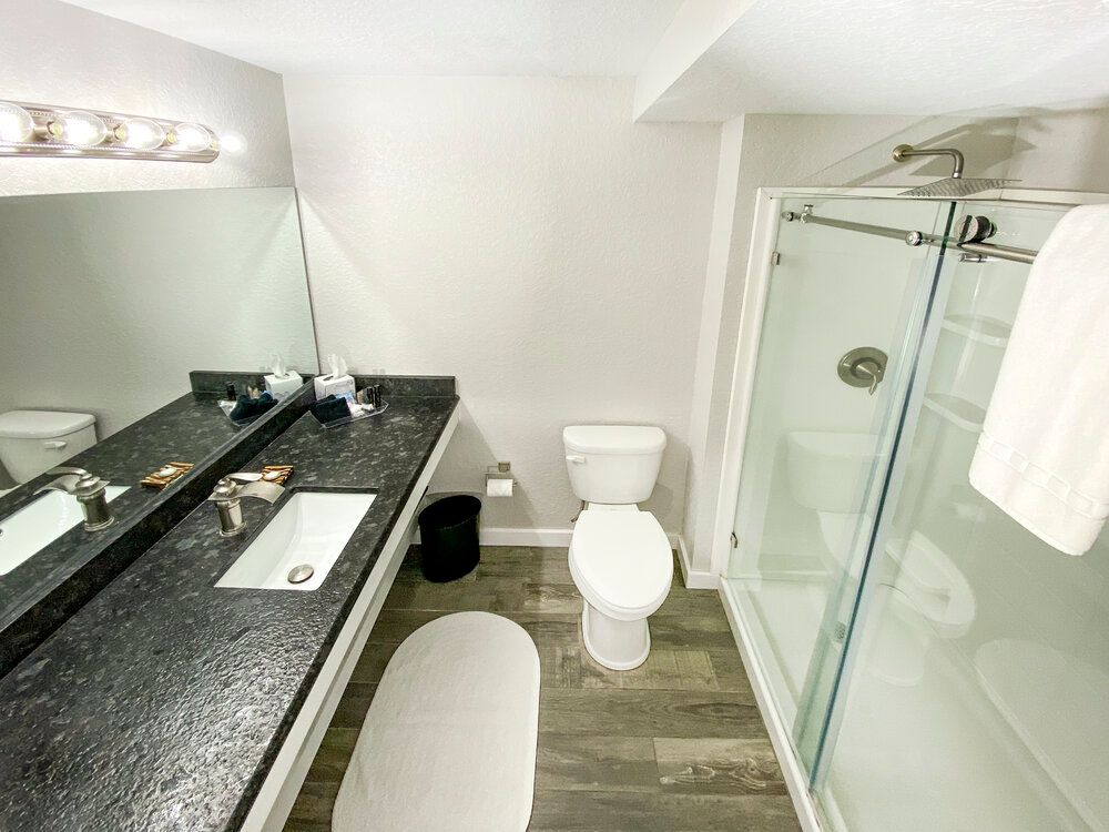 A bathroom with a toilet , sink and shower.