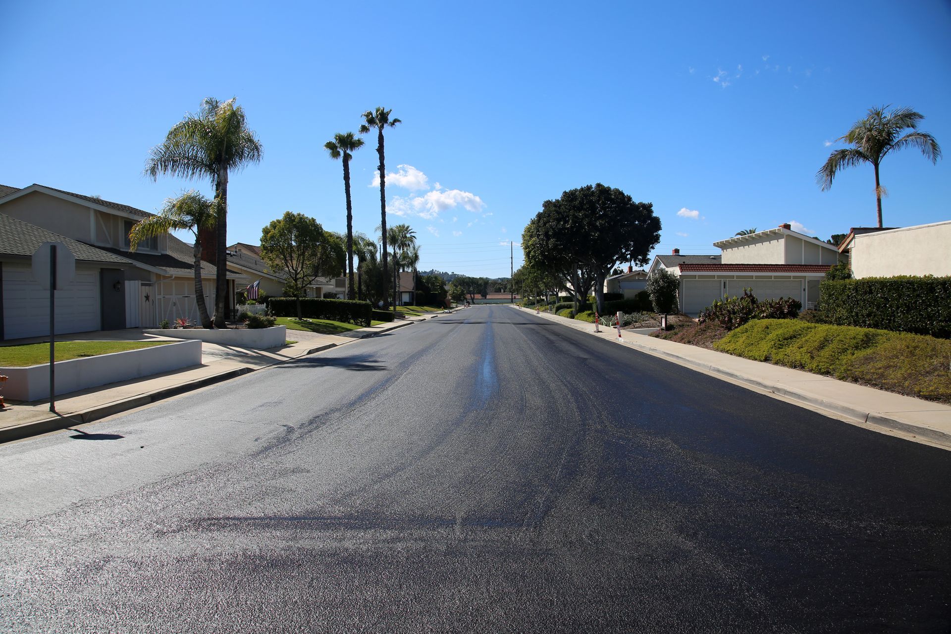 Quiet suburban street with palm trees, houses, and a clear blue sky