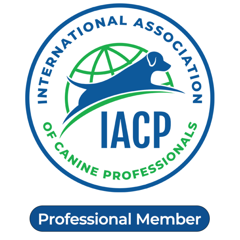 Logo for the International Association of Canine Professionals (IACP); features a blue dog silhouette over a green globe, 
