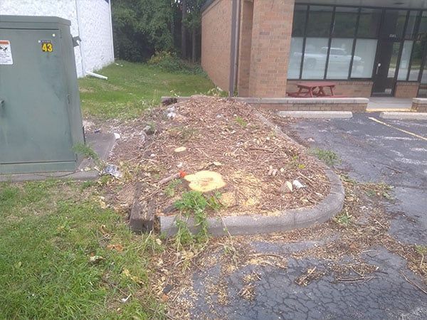 Tried & Tested Stump Removal Process