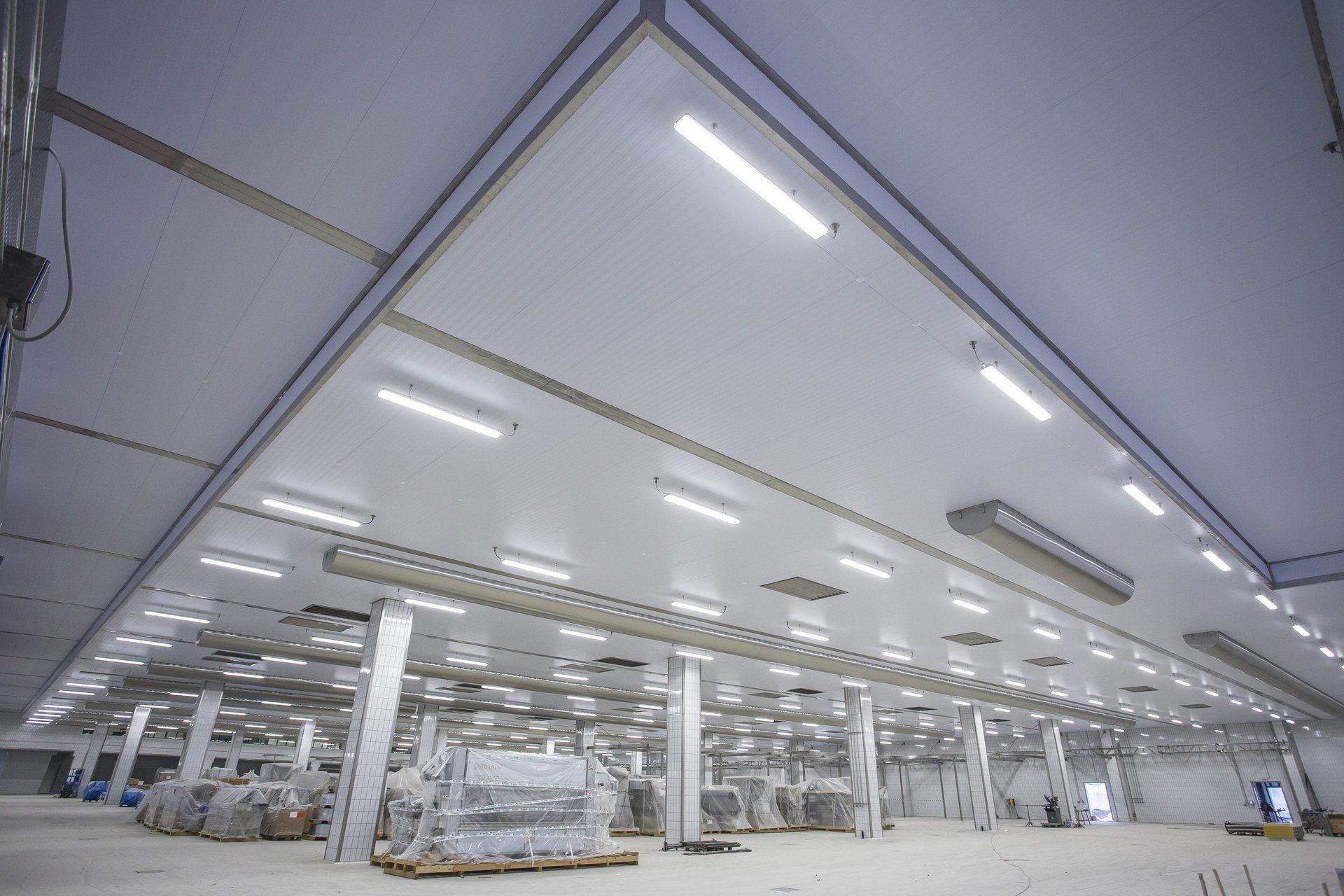 sale lavorazione alimentari#idealsystem