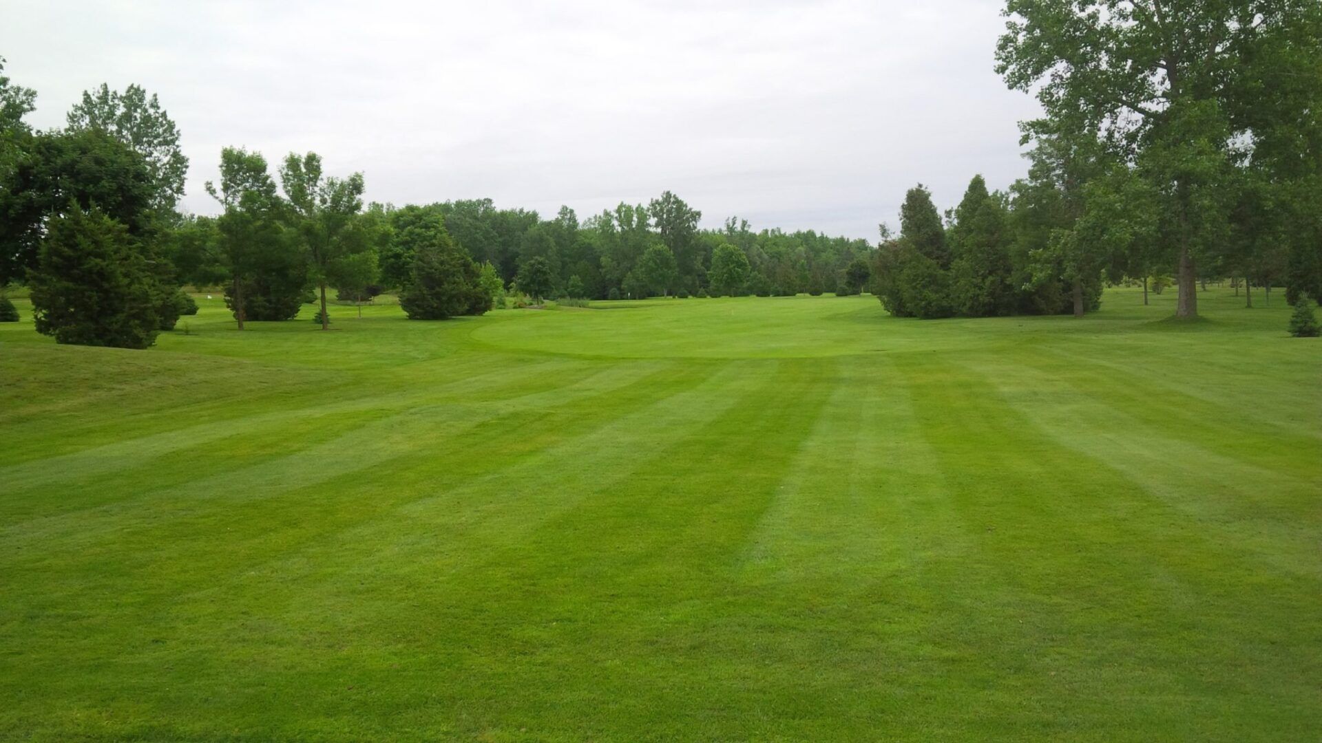 Hamilton Golf Courses Pineland Greens Golf Club Gallery Public