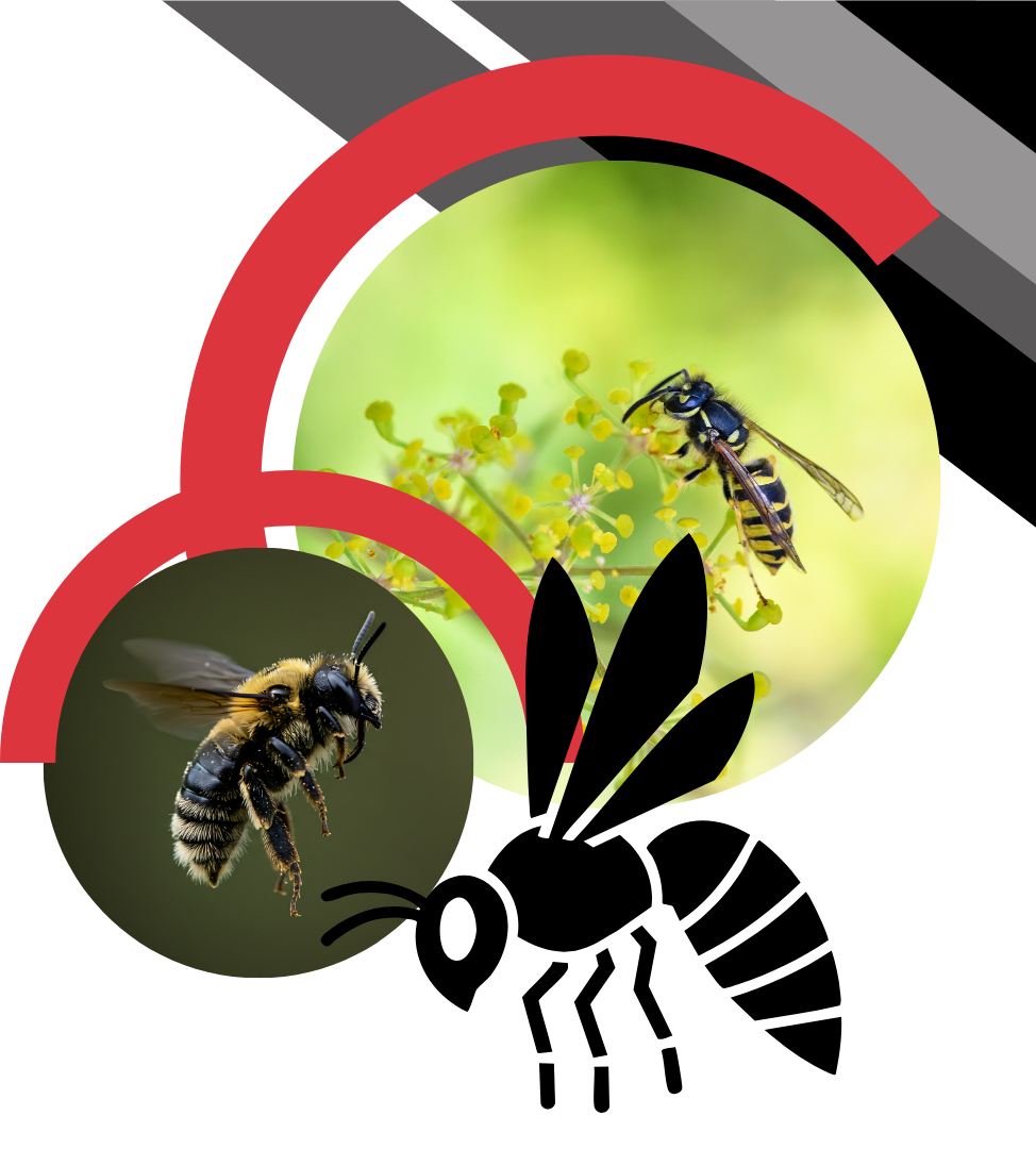 A composite graphic featuring a yellow and black wasp, a fuzzy bee, and a stylized black bee silhouette.
