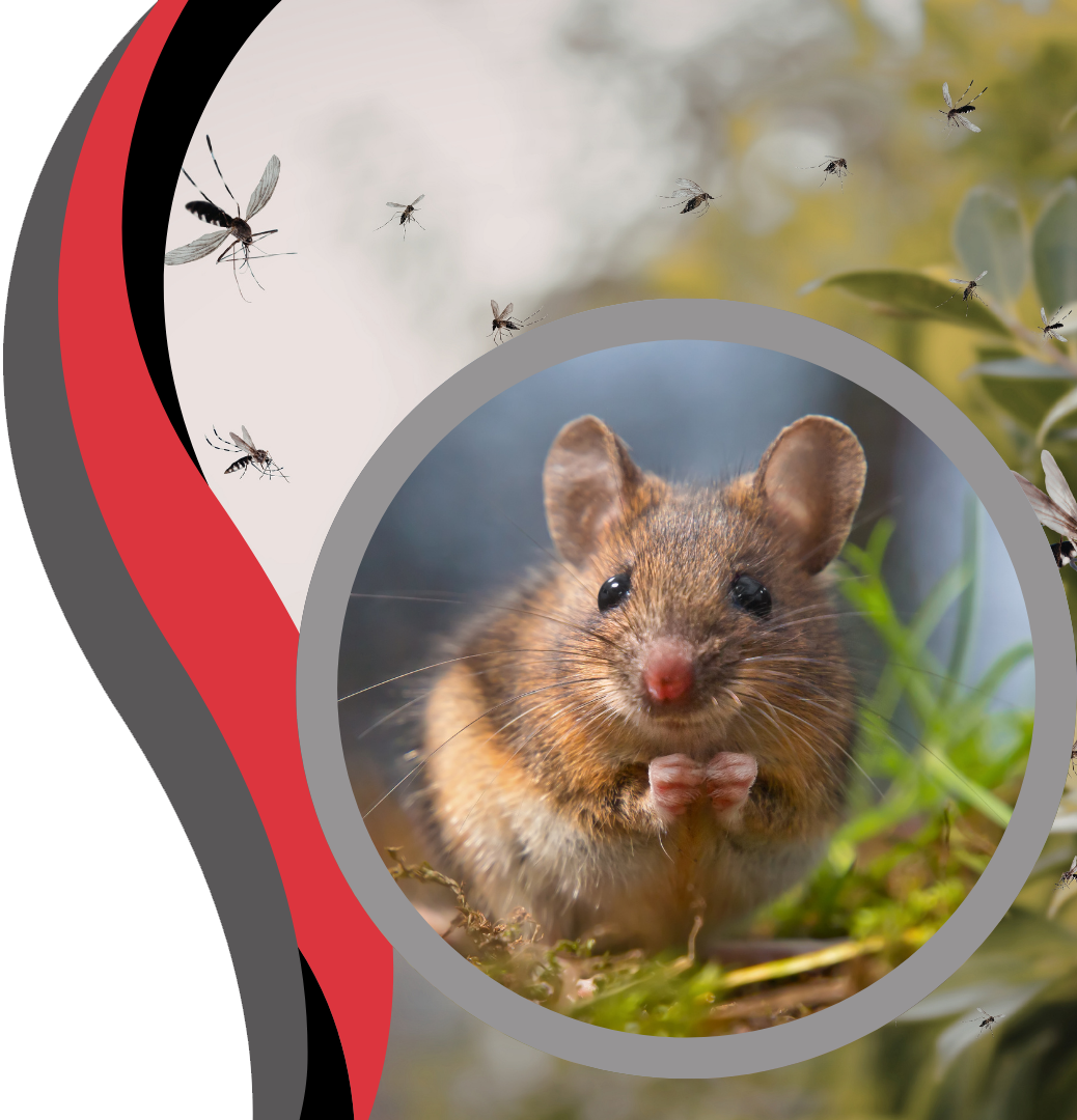 A close-up of a small mouse sitting in a circular frame, set against a background of red, black, and flying insects.