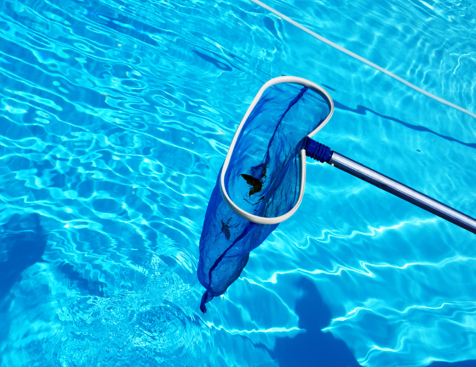 A blue net is being used to clean a swimming pool.
