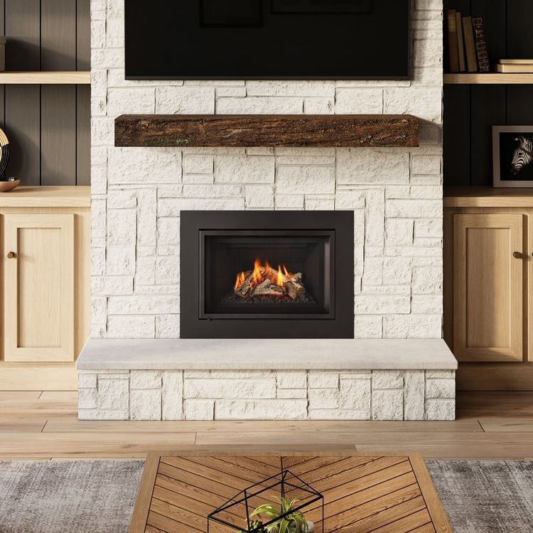 Regency LRI4 Gas Fireplace Insert