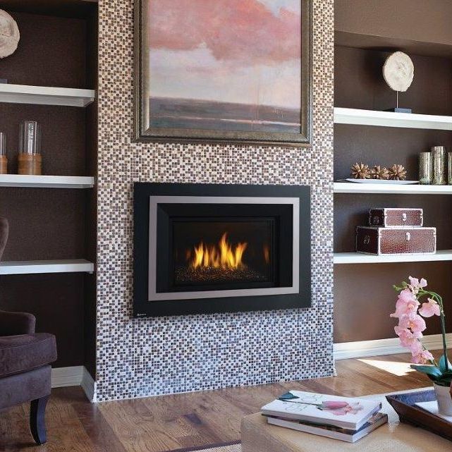 Regency HRI4 Gas Fireplace Insert