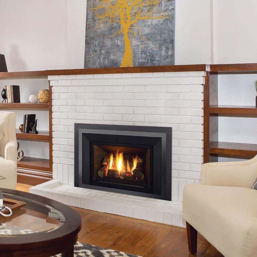 Regency LRI4 Gas Fireplace Insert