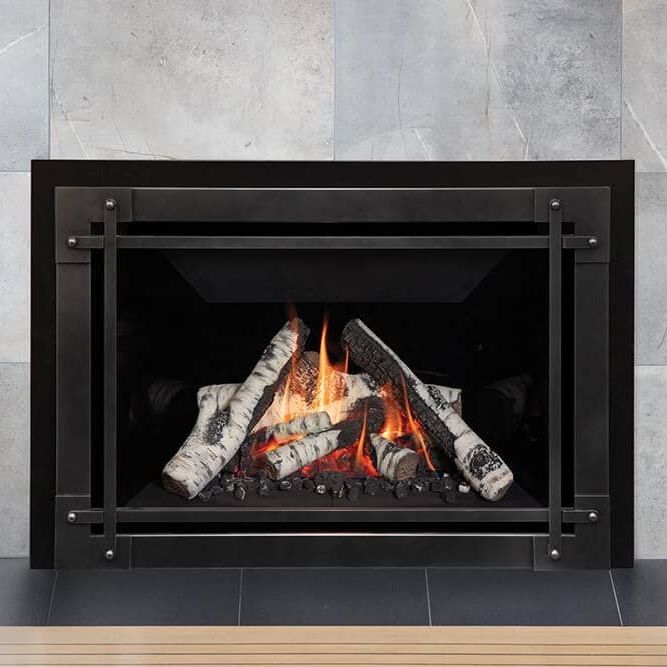 Valor G4 Gas Fireplace Insert