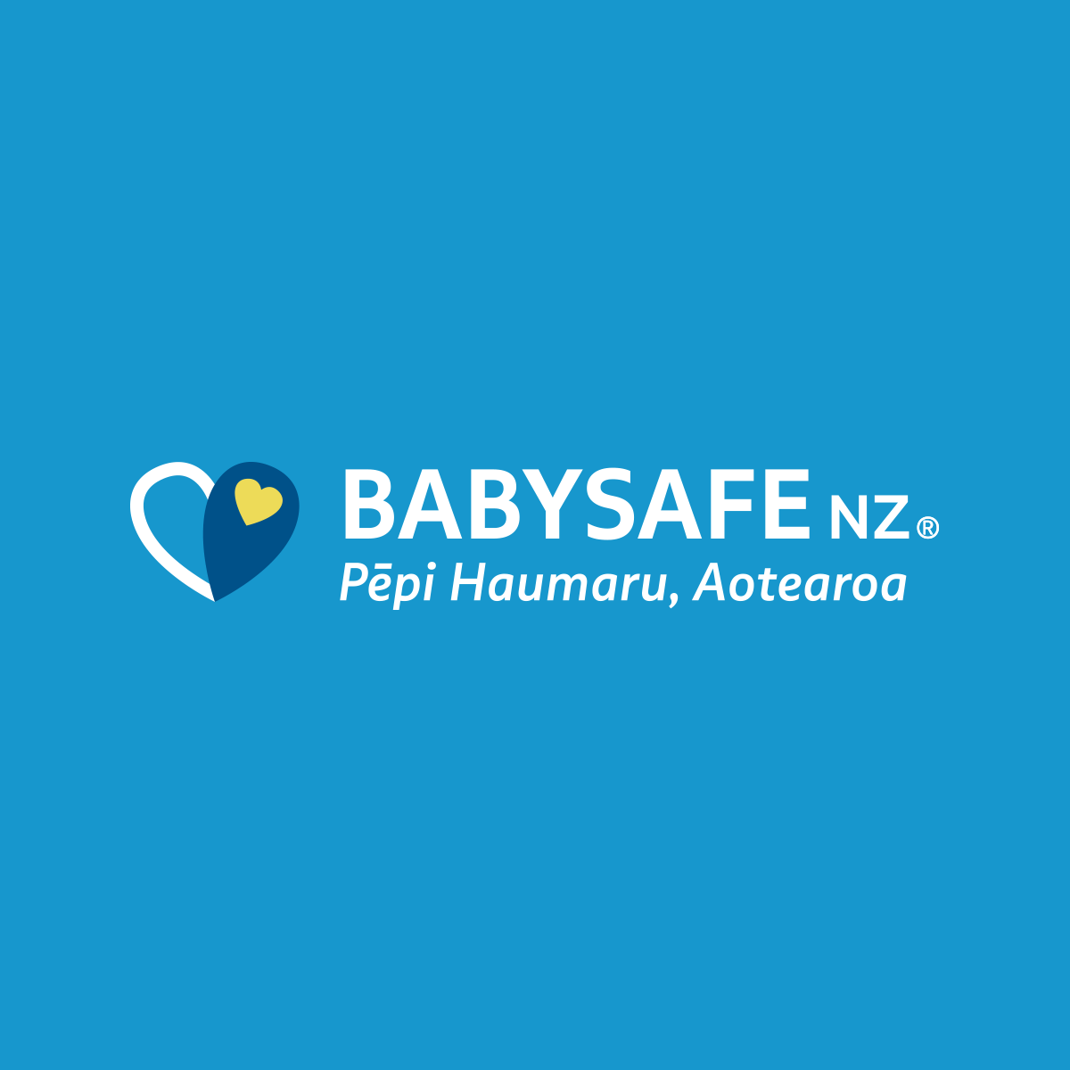 Babysafe NZ logo reverse on blue
