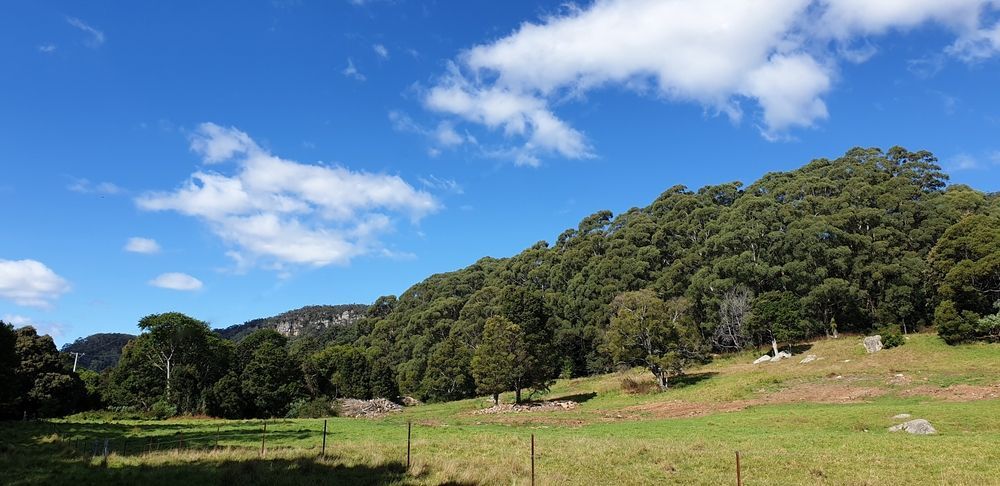 A Fenced In Field With Trees In The Background — Ridgeline Building Co In Jamberoo, NSW