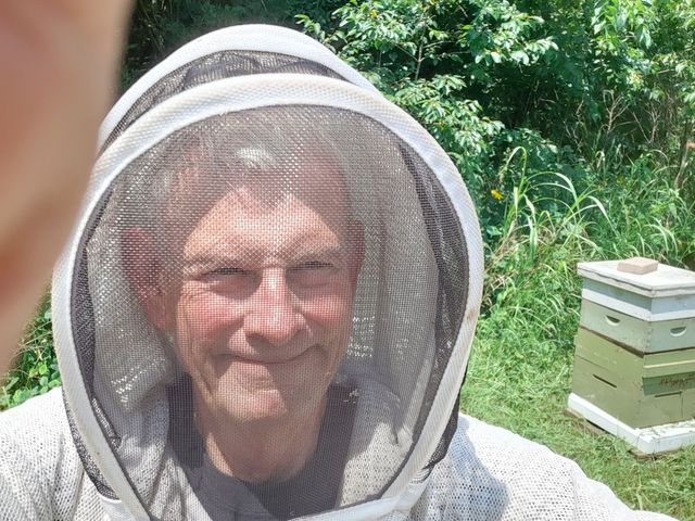 Confessions of a Newbie Beekeeper – Oakland County Blog