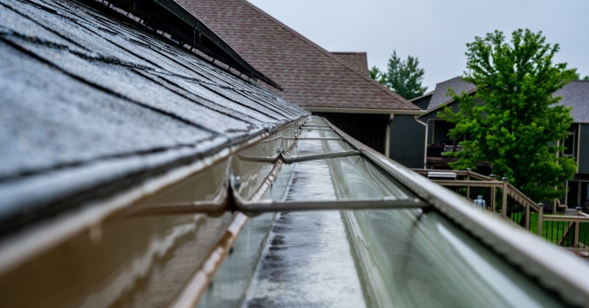 A close-up view of a long gutter at the side of a sloped roof. Water is in the gutter, and the shingles are damp.