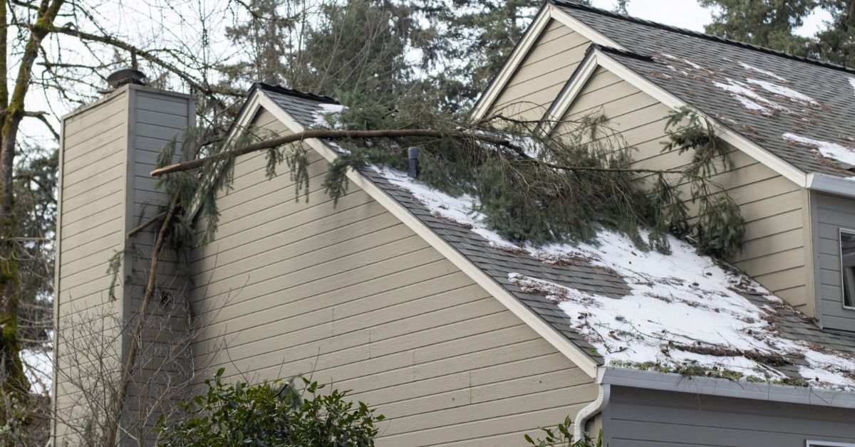 A large, broken tree branch lies on the roof of a two-story house. Patches of snow remain on the shingles.