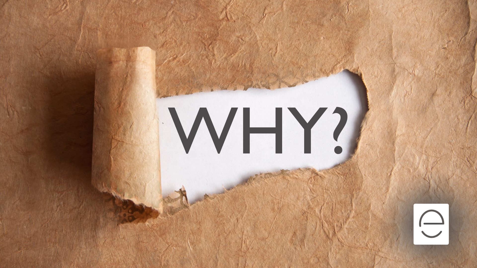 A piece of torn paper with the word why written on it