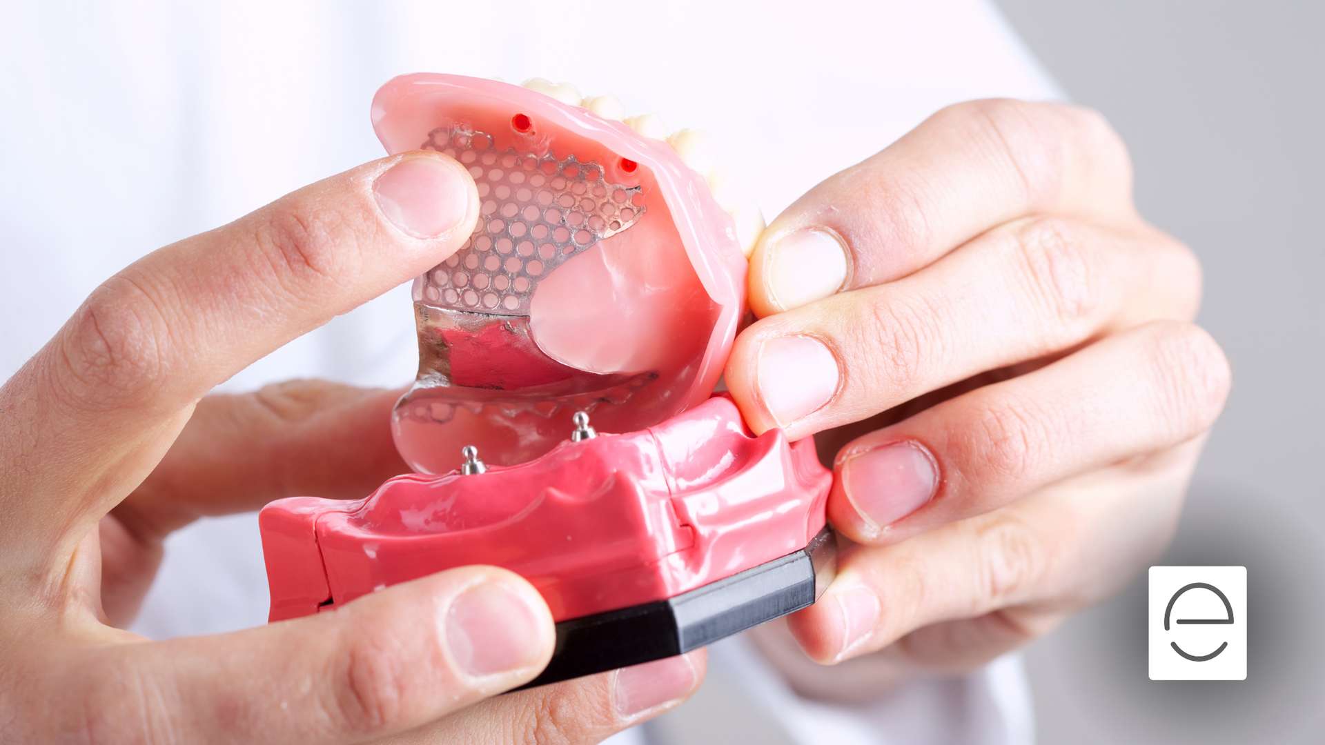 A person is holding a model of a denture in their hands.